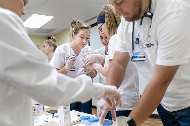 A group of students in a classroom setting work on preparing lab samples.